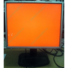 Монитор 19" TFT HP 1955 (DVI в Ярославле, USB-хаб) "квадратный" (Ярославль)