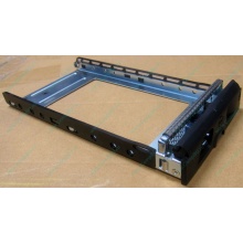 Салазки GMH100100AG0 для HDD для Infortrend EonStor (Ярославль)