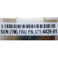 Серверная память SUN (FRU PN 371-4429-01) 4096Mb (4Gb) DDR3 ECC в Ярославле, память для сервера SUN FRU P/N 371-4429-01 (Ярославль)