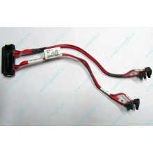SATA-кабель для корзины HDD HP 451782-001 для корпуса HP 5U tower (Ярославль)