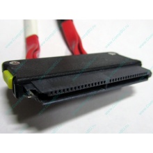 SATA-кабель для корзины HDD HP 451782-001 459190-001 для HP ML310 G5 (Ярославль)