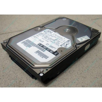 Жесткий диск 18.2Gb IBM Ultrastar DDYS-T18350 Ultra3 SCSI (Ярославль)