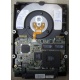 Жесткий диск 18.2Gb IBM Ultrastar DDYS-T18350 Ultra3 SCSI (Ярославль)