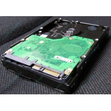 Жесткий диск 600Gb 15k Dell 9FN066-008 6G SAS ( Seagate Cheetach ST3600057SS 15K.7) - Ярославль
