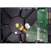 Б/У жёсткий диск 1Tb Western Digital WD10EVVS Green (WD AV-GP 1000 GB) 5400 rpm SATA (Ярославль)