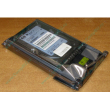 Жёсткий диск 146.8Gb HP 365695-008 404708-001 BD14689BB9 256716-B22 MAW3147NC 10000 rpm Ultra320 Wide SCSI купить в Ярославле, цена (Ярославль).