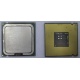 Процессор Intel Celeron D 336 (2.8GHz /256kb /533MHz) SL98W s.775 (Ярославль)