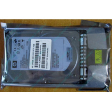HDD 146.8Gb HP 360205-022 404708-001 404670-002 3R-A6404-AA 8D1468A4C5 ST3146707LC 10000 rpm Ultra320 Wide SCSI купить в Ярославле, цена (Ярославль)