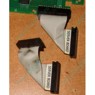 6017B0045701 Шлейф 24 pin для Intel C74974-401 T0043401-B01 корпуса SR2400 (Ярославль)