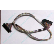 6017B0045301 в Ярославле, 68pin SCSI кабель 26.5" / 57cm для корзины HDD Intel SR2400 (Ярославль)