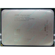 AMD Opteron 6128 OS6128WKT8EGO (Ярославль)