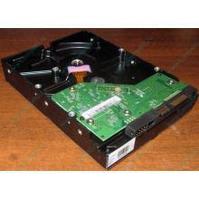 Жесткий диск 500Gb WD WD5000AAKX HP 634605-003 613208-001 7.2k SATA (Ярославль)