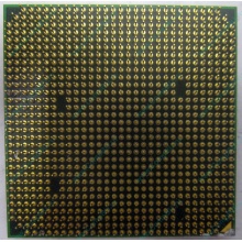 Процессор AMD Athlon 64300+ (1.8GHz) ADA3000IAA4CN s.AM2 (Ярославль)