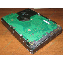 Жесткий диск 300Gb 15k Dell 9CH066-050 6G SAS (Seagate Cheetach ST3300656SS 15K.6) - Ярославль