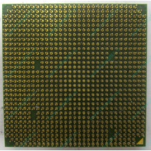 Процессор AMD Sempron 3000+ (1.6GHz) SDA3000IAA3CN s.AM2 (Ярославль)